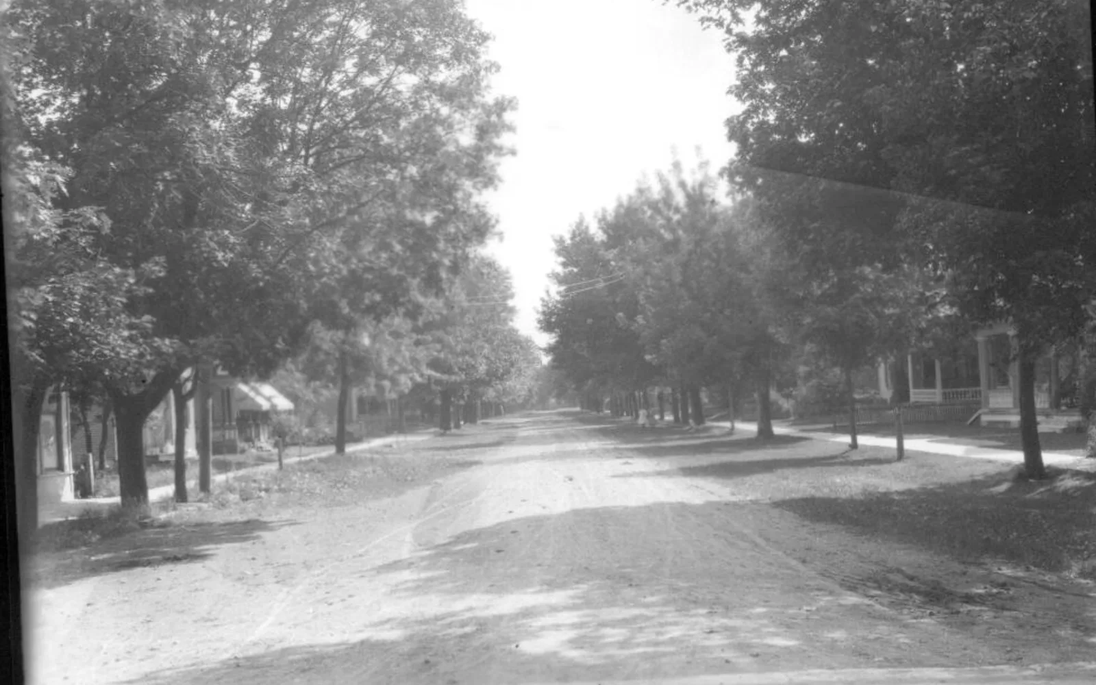 A tree-lined street in a residential neighborhood with houses on both sides